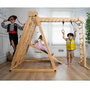 Chestnut 8-in-1 Indoor Jungle Gym