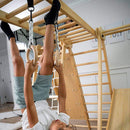 Chestnut 8-in-1 Indoor Jungle Gym
