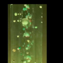 Balls and Beads Inserts for Bubble Tubes