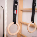 BenchK Series 1 Swedish Wall Bars with Gymnastics Accessories (BenchK111 + A204)