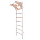 BenchK 211 Swedish Ladder with Gymnastics Accessories