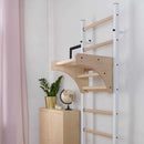 BenchK 211 Swedish Ladder with Gymnastics Accessories