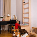 BenchK Series 1 Swedish Wall Bars with Gymnastics Accessories (BenchK111 + A204)