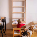 BenchK Series 1 Swedish Wall Bars with Gymnastics Accessories (BenchK111 + A204)