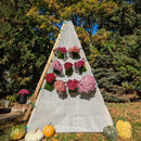 Bijou Bloom Hanging Planters