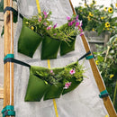 Bijou Bloom Hanging Planters