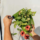 Bijou Bloom Hanging Planters
