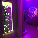 Bubble Wall 60" – TFH Special Needs Toys