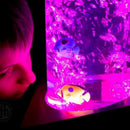 Calming Bubble Tube - TFH Special Needs Toys