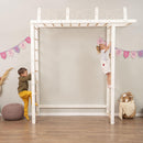 Indoor Monkey Bars