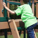 Congo Monkey Play System
