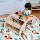 2in1 Montessori Wooden Seesaw and Table Chair Set
