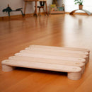 Balance Beam and Stepping Stones Set