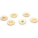Balance Beam and Stepping Stones Set