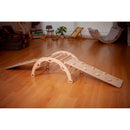 Climbing Arch / Rocker with Pillow and Ramp