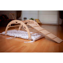 Climbing Arch / Rocker with Pillow and Ramp