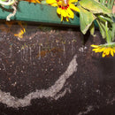 PlayMore Design Root View Planter