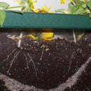 PlayMore Design Root View Planter