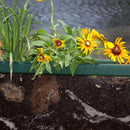 PlayMore Design Root View Planter