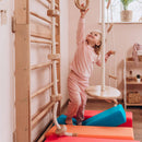 Swedish Ladder Gym Kit