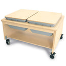 Whitney Brothers Mobile Sensory Play Table With 2 Tubs and Lids (CH4049)
