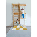 Indoor Playset Mat – Cushioned Floor Mat Compatible with Avenlur Neem Climber