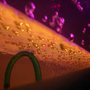 Experia LED Bubble Wall