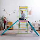 Grove Foldable Indoor Jungle Gym - Wall Mounted Rainbow