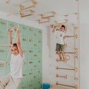 Home Monkey Bars