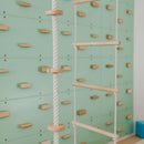 Kids Climbing Ropes
