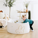 Little Big Playroom Ball Pit + 200 Ball Pit Balls