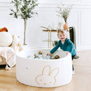 Little Big Playroom Ball Pit + 200 Ball Pit Balls