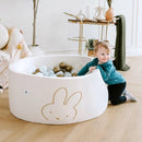 Little Big Playroom Ball Pit + 200 Ball Pit Balls