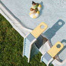 Smol Pool Day Water Table