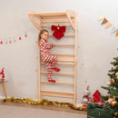 Swedish Wall Ladder