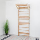 Swedish Wall Ladder