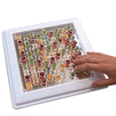 Tactile Sensory Activity Stimulation Kit